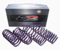 -- IMPORTANT: GENERAL IMAGE -- <br/>Actual Part May Vary D2 Racing Pro Lowering Springs