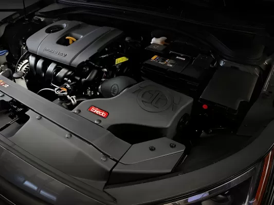 Hyundai Elantra - 2017 to 2020 - Sedan [All Except Sport] (Black) (Uses Pro Dry S Filter)