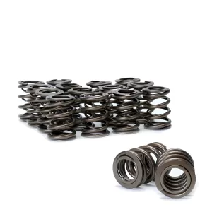 2007 Honda Accord Skunk2 Pro Series Valve Springs
