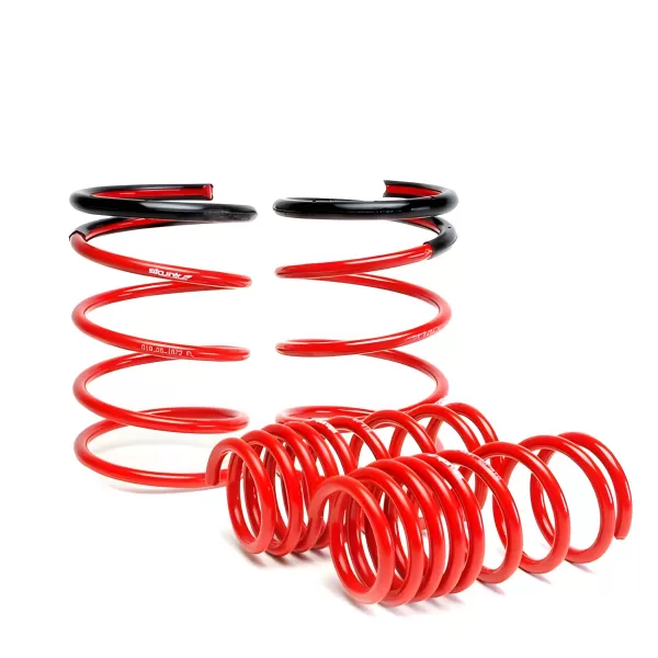 Skunk2 Lowering Springs 2000-2009 Honda S2000
