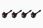 Ignition Projects Performance Ignition Spark Coil Packs