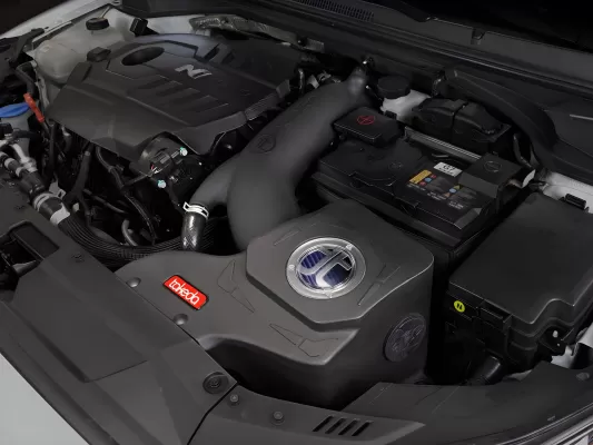 Hyundai Veloster - 2019 to 2022 - Hatchback [N] (Black) (Uses Pro 5R Oiled Filter)