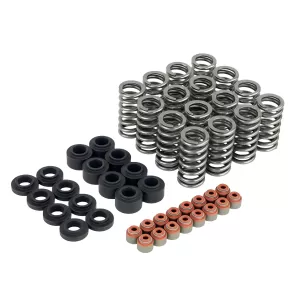 General Representation Honda Civic Skunk2 Ultra Series Valve Springs